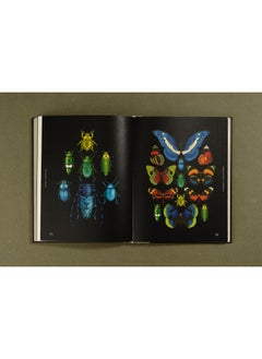 Insectile Inspiration: Insects in Art and Illustration  - Image 2