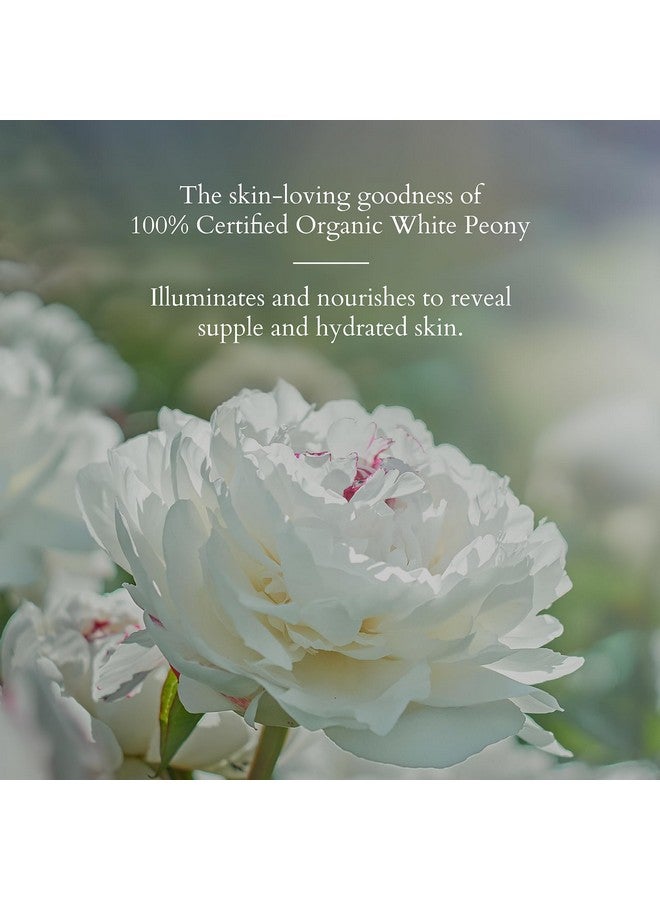 Lotus Organics+ Precious Brightening Cream | For Dark Spots, Blemishes & Pigmentation | Spf 20 Moisturiser | Sulphate & Paraben Free | All Skin Types | 30G  - Image 1