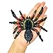 Uelfbaby Giant Realistic Spider Fake Spider Action Model Lifelike Insect Toy Figures Halloween Prank Props Party Supplies - Image 2