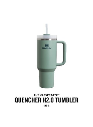 Stanley H2.0 40oz Insulated Tumbler FlowState The Grass is Green, Double Wall Vacuum Lid Reusable Straw Keeps Cold Hot Hours - view 3