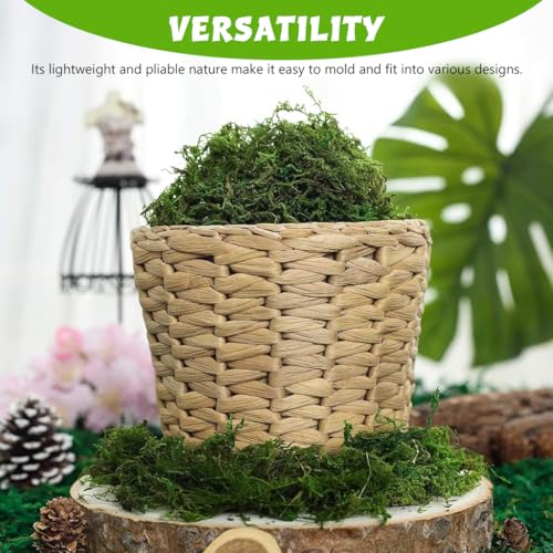 Supvox Cotton Artificial Moss for Potted Plants, Natural Fake Grass, Fresh Green for DIY Crafts, Home Decor, Table Centerpieces, Wedding Decoration - Image 3