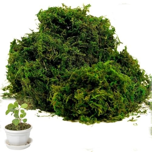 Supvox Cotton Artificial Moss for Potted Plants, Natural Fake Grass, Fresh Green for DIY Crafts, Home Decor, Table Centerpieces, Wedding Decoration - Image 1