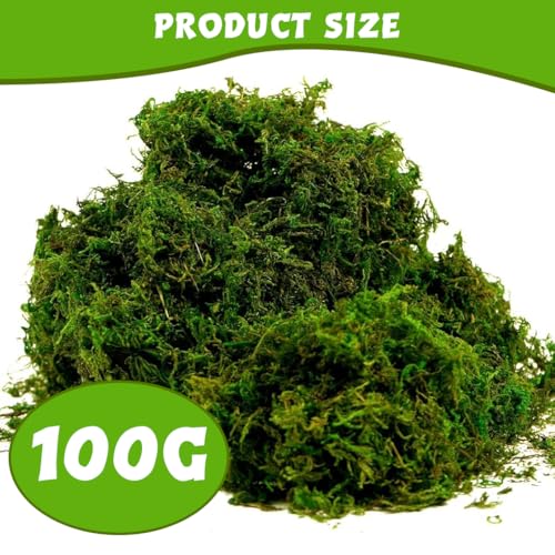 Supvox Cotton Artificial Moss for Potted Plants, Natural Fake Grass, Fresh Green for DIY Crafts, Home Decor, Table Centerpieces, Wedding Decoration - Image 2