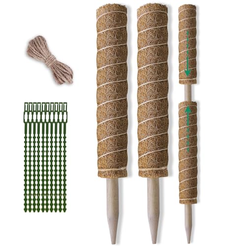 Fabulas Moss Pole 36 Inch - Monstera Plant Support, 2 Pack 20.5 Inch Plant Stakes for Indoor Plants Coco Coir Moss Pole Sticks for Climbing Potted Live Plants, Pothos, Philodendron, with Garden Ties - Image 1