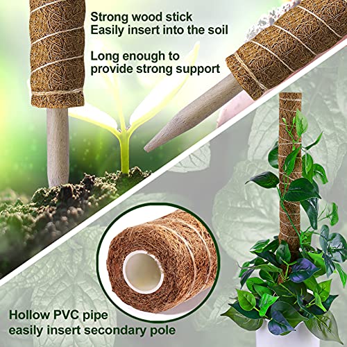 Fabulas Moss Pole 36 Inch - Monstera Plant Support, 2 Pack 20.5 Inch Plant Stakes for Indoor Plants Coco Coir Moss Pole Sticks for Climbing Potted Live Plants, Pothos, Philodendron, with Garden Ties - Image 4