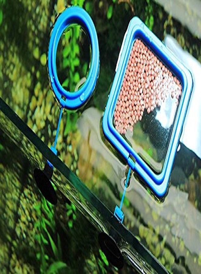 FixtureDisplays® Aquarium Fish Tank Square Ring Feeder Feeding Station Float Floating Food 3" Diameter 12203 - Image 4