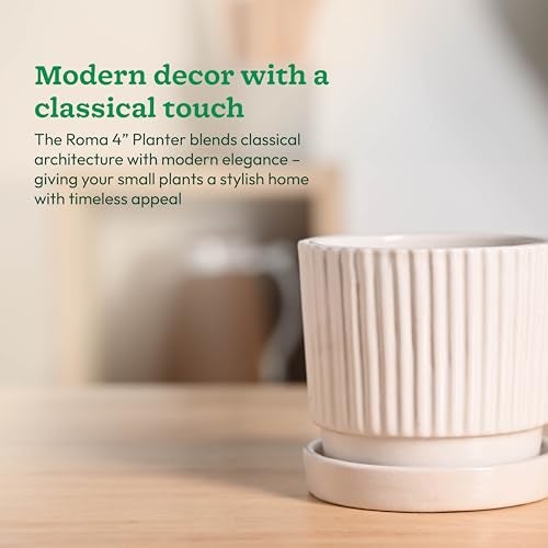 UGAOO Roma Ceramic Pot |Indoor Ceramic Planter for Home, Office, Garden, Balcony - White (4 Inch) - Image 5