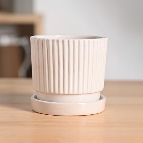 UGAOO Roma Ceramic Pot |Indoor Ceramic Planter for Home, Office, Garden, Balcony - White (4 Inch) - Image 1