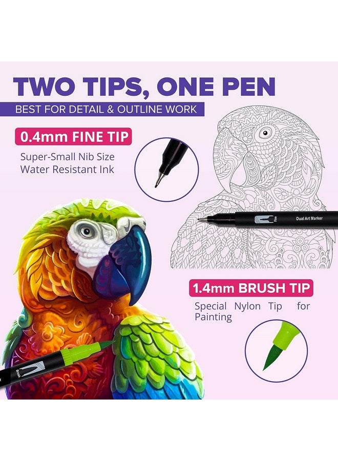Corslet مجموعة أقلام فرشاة مزدوجة الطرف 12 قطعة بألوان 12، أقلام تلوين، أدوات فنية للأطفال والبالغين، كتاب تلوين، أدوات فنية، قلم فرشاة برأس دقيق للرسم والتخطيط - Image 3