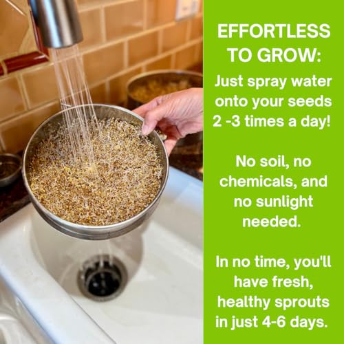 ZESTIGREENS Stainless Steel Seed Sprouter Kit - Stackable 3-Tier Seed Sprouting Germination Tray Seed Sprout Grower Maker with Lid for Growing Broccoli Alfalfa Mung Beans - Image 3