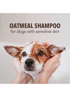 Sergeant's Sergeant’s Fur-So-Fresh Oatmeal Dog Grooming Shampoo for Sensitive Skin, Milk and Honey Scent, Dog Bath Product, 18oz  - Image 4