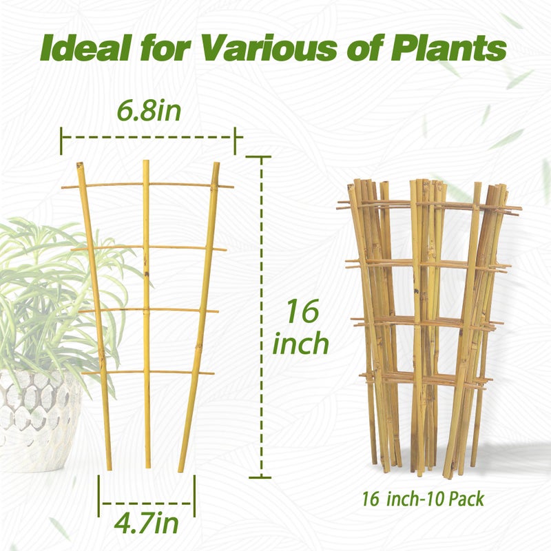 Avalution 10 Pack Bamboo Trellis for Climbing Plants 16" Natural Garden Ladder Trellis, Fan -Shaped Plant Support Trellis for Potted Plant Decor - Image 3