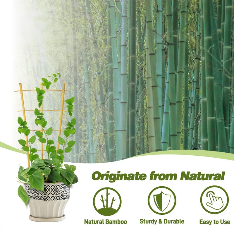 Avalution 10 Pack Bamboo Trellis for Climbing Plants 16" Natural Garden Ladder Trellis, Fan -Shaped Plant Support Trellis for Potted Plant Decor - Image 4