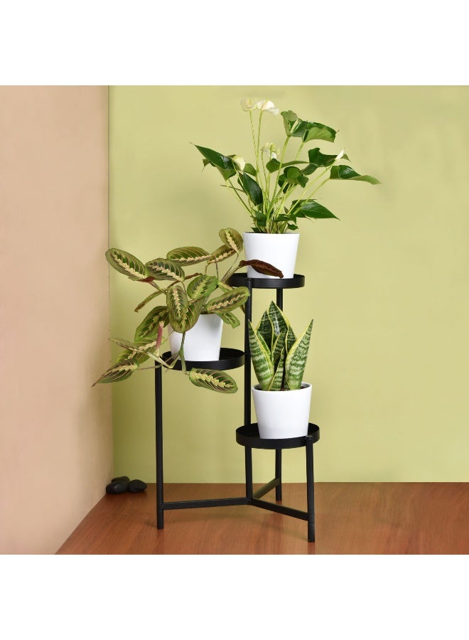 Ferns N Petals Luck And Peace Plant Stand 