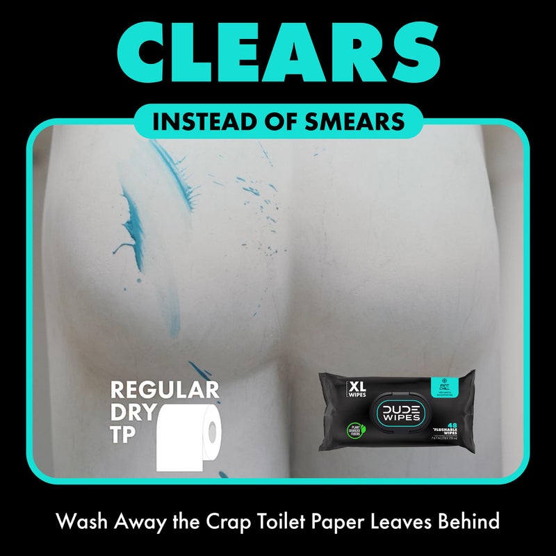 DUDE Wipes - On-The-Go Flushable Wipes - 2 Pack, 60 Wipes - Mint Chill Extra-Large Individually Wrapped Adult Wet Wipes with Eucalyptus & Tea Tree Oil - Septic and Sewer Safe - Image 2