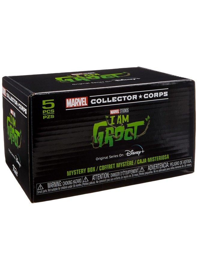 Funko Marvel Collector Corps Subscription Box I Am Groot Disney+ Theme Xl Multicolor - Image 1