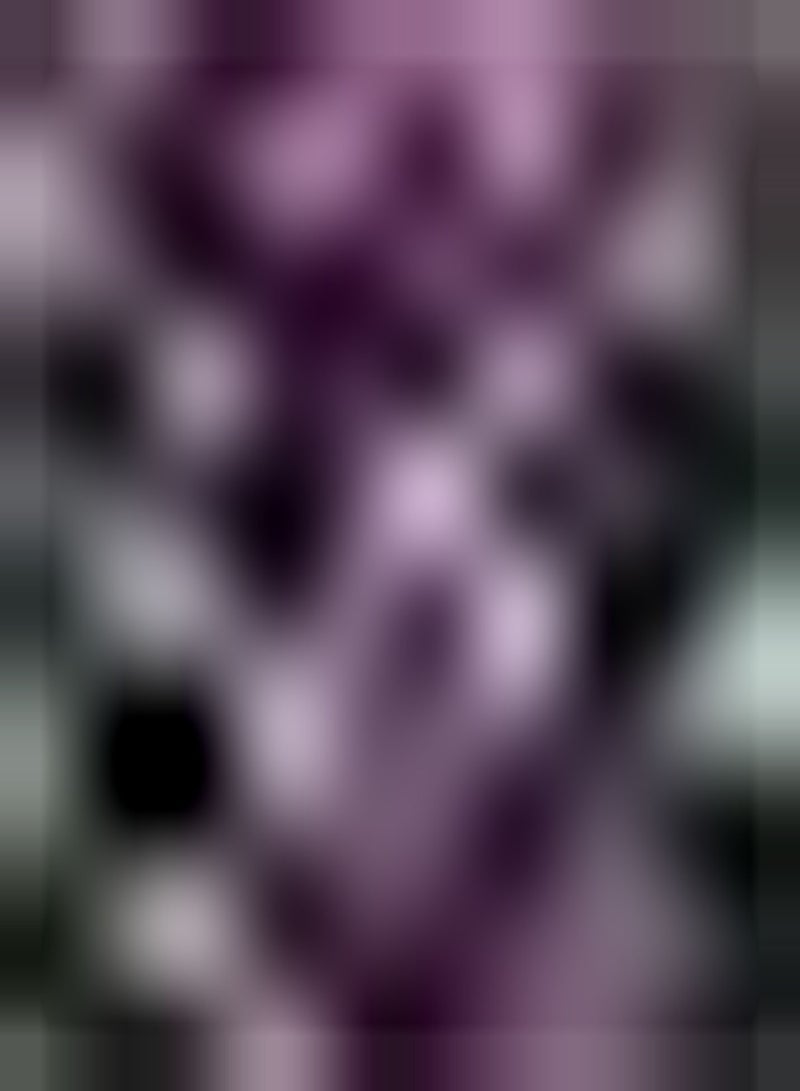 جي جوت 3 قطعة بارس كالا ليلي بولين في الهواء الطلق توين فناء Gemakkelijk Planten Decoratief Snijden Tuinieren Snel Groeiende مبتدئين كالا بولين - Image 2