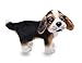 YONLIT Lifelike Beagle Stuffed Animal Animated Plush Puppy Toy Doll Super Realistic Dogs Act Like Real Excellent Gifts for Kids Birthday Party Dog Collection 9 Inches Beagle - Image 4