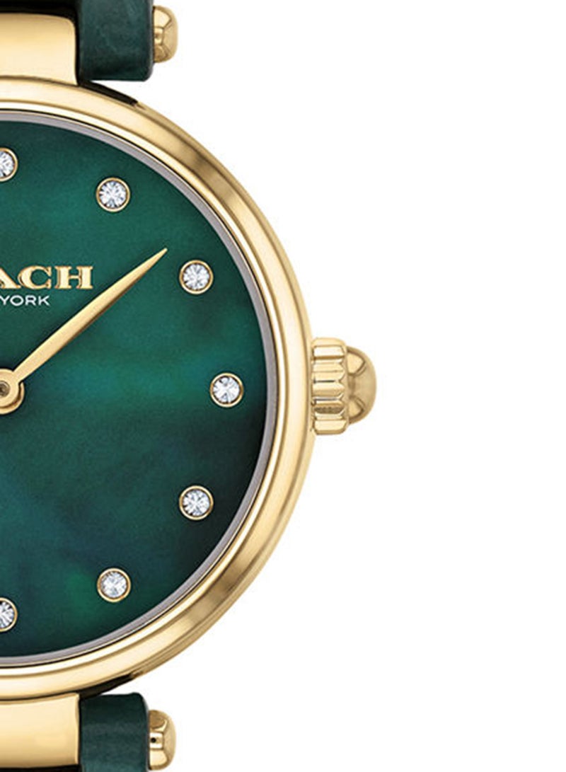 COACH Women Park Green Mother Of Pearl Dial Watch - 14503534 - Image 5