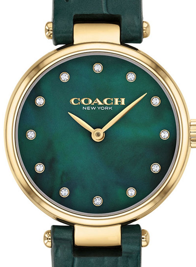 COACH Women Park Green Mother Of Pearl Dial Watch - 14503534 - Image 4
