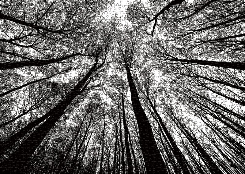 BBOLDIN Impossible Puzzle 1000 Piece, Challenging Difficult Puzzles for Adults, Hard Jigsaw Puzzles for Adults - Image 2