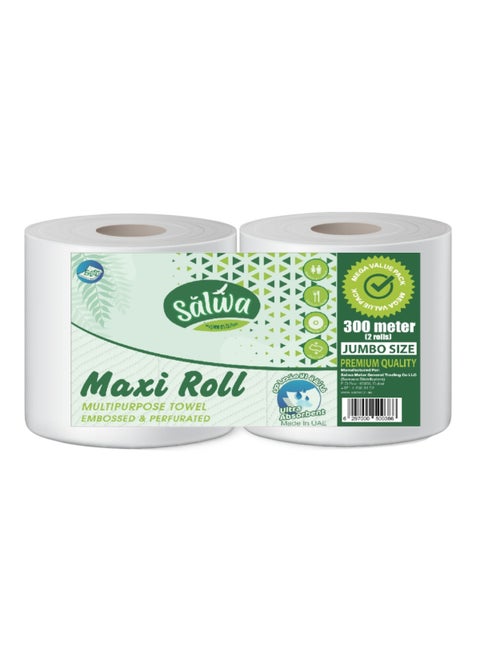 Maxi Kitchen Roll Twin Pack of 2, 1000+ Sheets, 2-Ply Tissue 2 Rolls