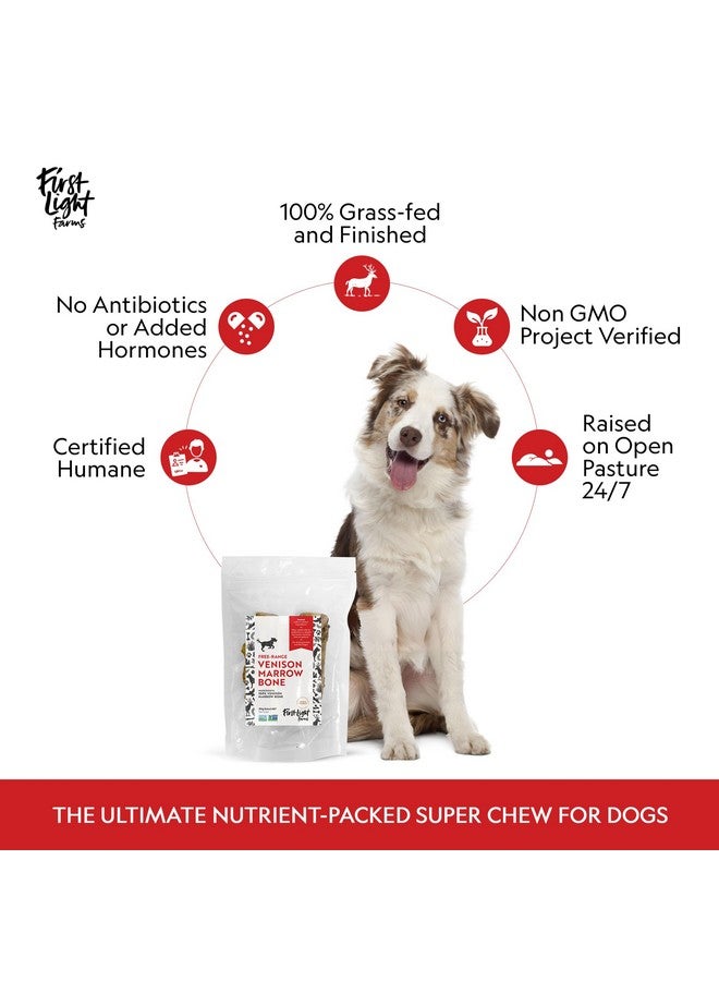 فيرست لايت عظام نخاع الغزال من فيرست لايت فارمز للكلاب | علكات طويلة الأمد | عبوة من 3 علكات طبيعية للكلاب لصحة الأسنان والمفاصل والتحفيز الذهني | خالية من الجلود الخام | مكافآت آمنة وصحية | 5.2 بوصة - Image 4