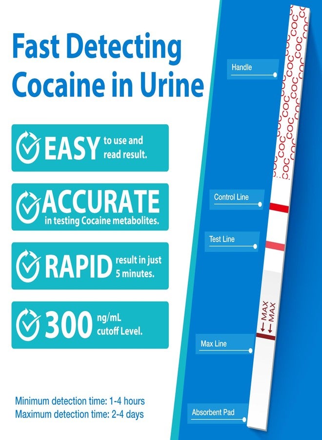 Areta Cocaine Test Strip: Highly Sensitive Cocaine Drug Test Strips, 10 Pack Cocaine Home Screen Testing Kit, 300 ng/mL Cutoff, Instant Results in 5 Min -#ASCOC-114 - Image 2