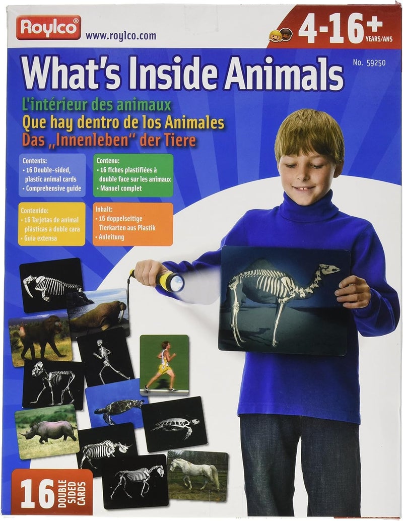 Roylco What's Inside Animals Flash Cards - Educational Science Tool for Kids - Image 1
