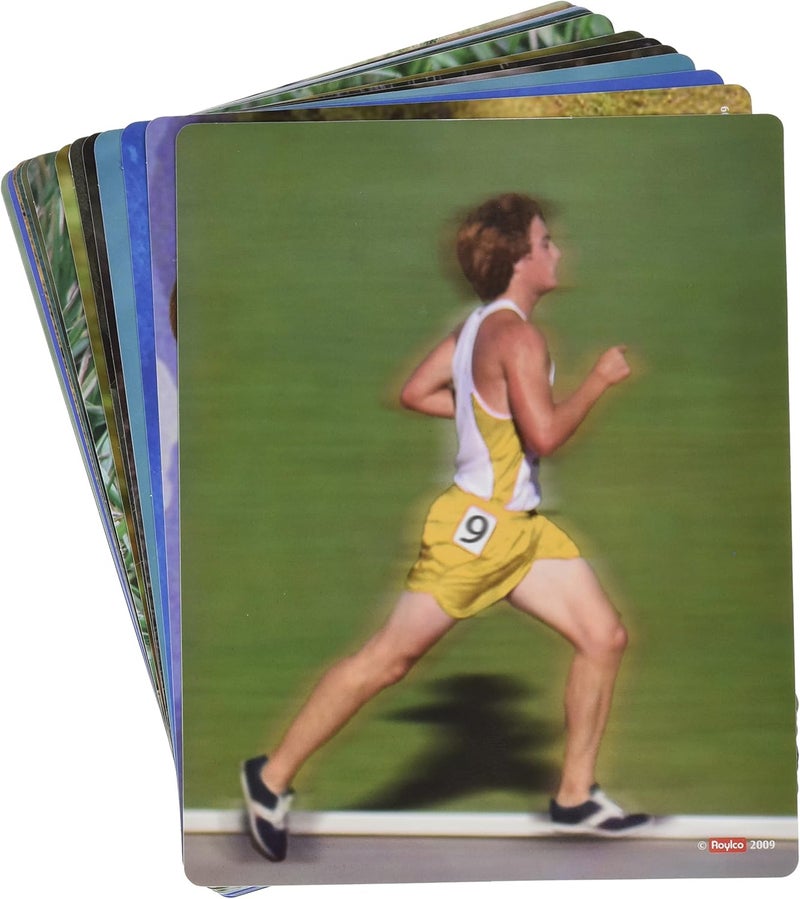 Roylco What's Inside Animals Flash Cards - Educational Science Tool for Kids - Image 3