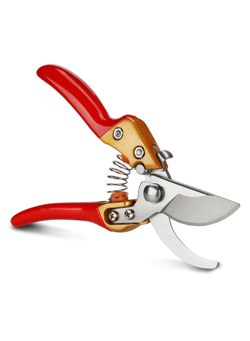 SOLARAE Pruning Shears for Gardening, Professional Hand Garden Shears Heavy Duty, Sharp Precision Ground Steel Blade Bypass Garden Scissors, for Flowers, Houseplants, Bonsai or Garden, 8" - Image 1