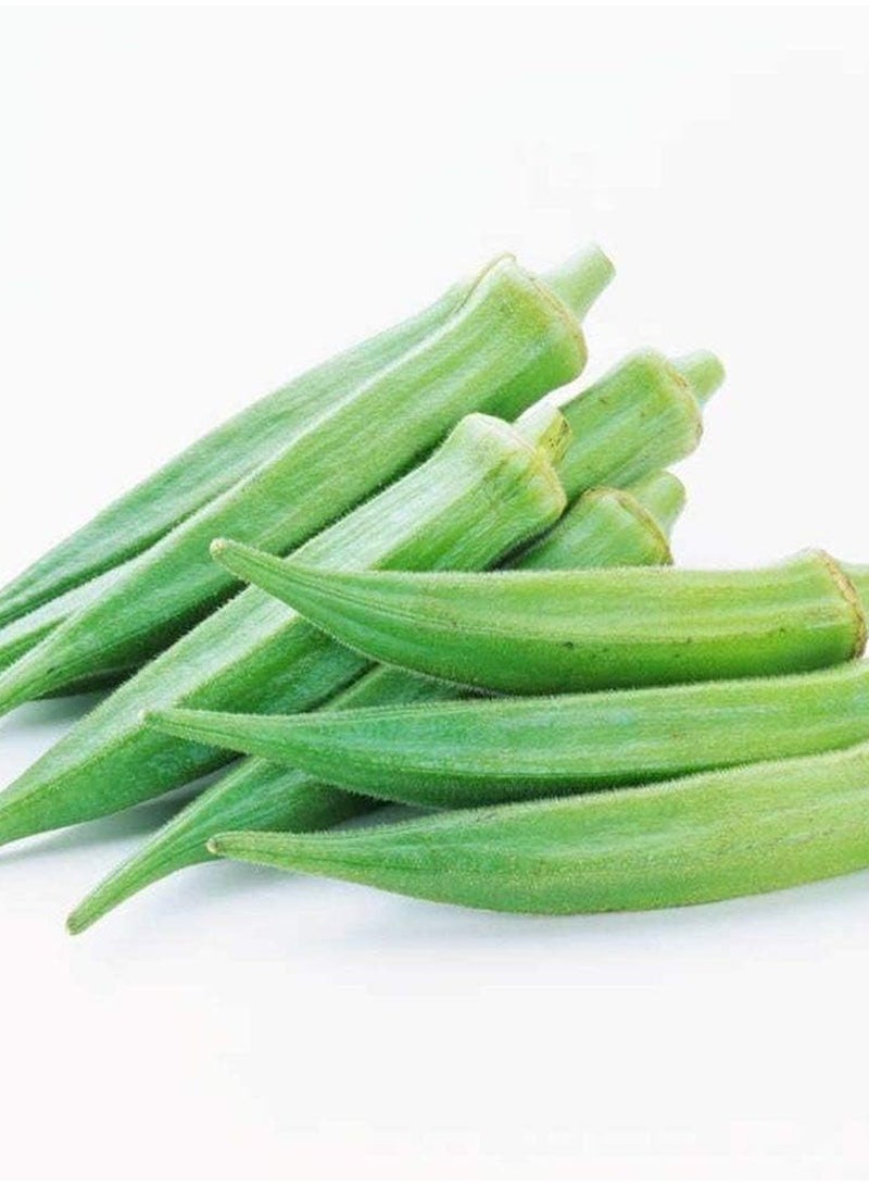 GGOOT 100Pcs Green Okra Seeds  - Image 3