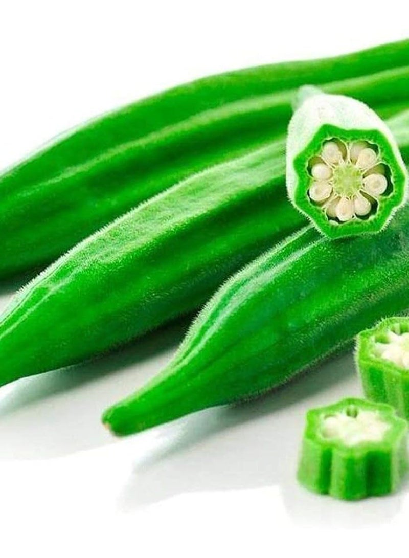GGOOT 100Pcs Green Okra Seeds  - Image 1