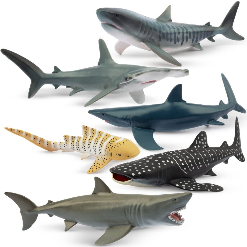 Toymany 6PC Realistic Shark Figurines Set - 5-6" Ocean Animals Bath Toys, Cake Toppers, Gifts for Kids & Toddlers - Image 1