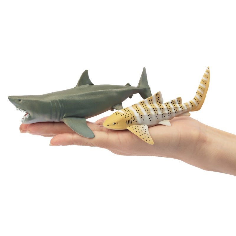 Toymany 6PC Realistic Shark Figurines Set - 5-6" Ocean Animals Bath Toys, Cake Toppers, Gifts for Kids & Toddlers - Image 4