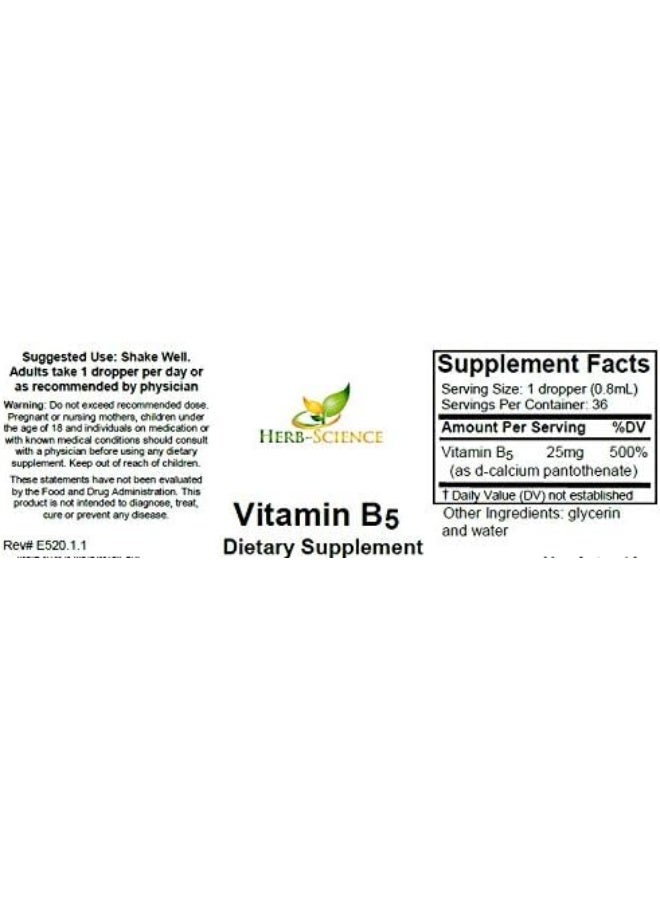Herb-Science Liquid Vitamin B5 – 36 Servings – High Absorption Pantothenic Acid for Energy, Mood & Nerve Support – Vegan Non-GMO Alcohol Free – Better Than Capsules or Pills – 1 Fl Oz - Image 2