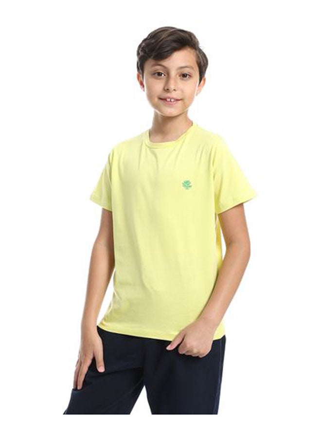 IZOR Boys T-shirt 