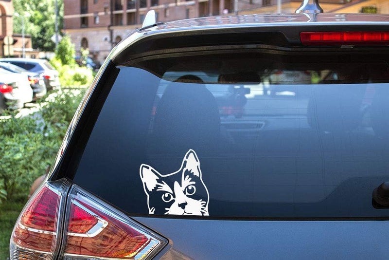 WIRESTER Tuxedo Cat Vinyl Decal Sticker - Image 4