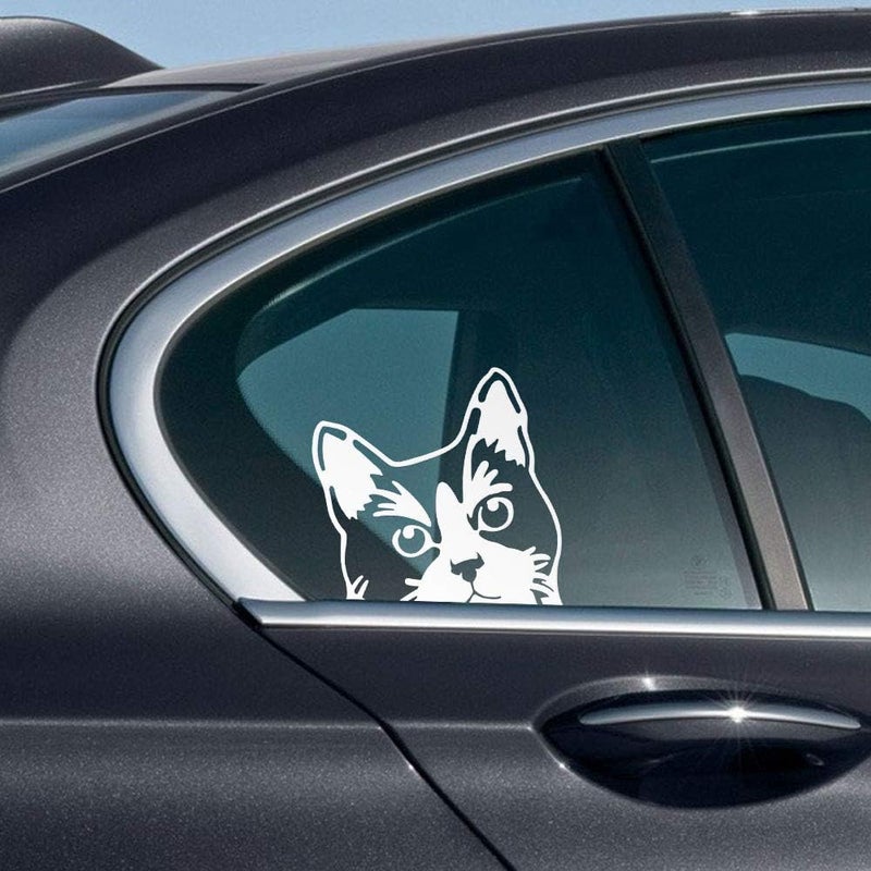 WIRESTER Tuxedo Cat Vinyl Decal Sticker - Image 1