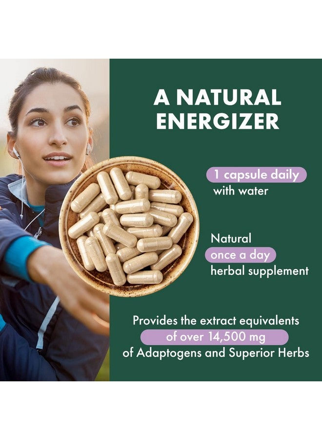 PURE ESSENCE LABS One N Only Multivitamin for Women, Natural One a Day Herbal Supplement with Vitamin D3, B12, and Biotin with Whole Foods, 30 Tablets - Image 4