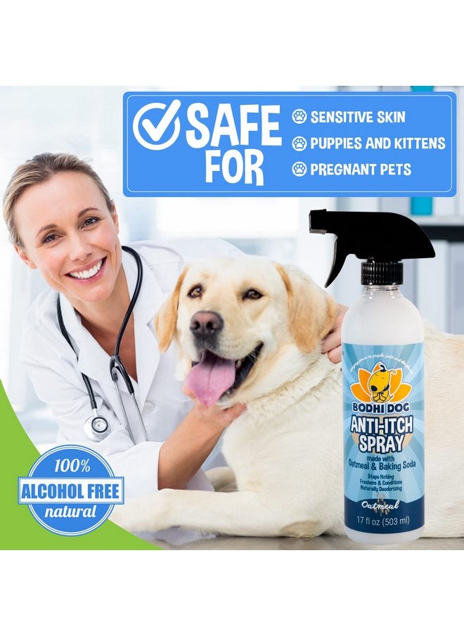 Bodhi Dog - Bodhi Dog Anti Itch Spray | Natural Soothing Relief for Dry, Itchy, Bitten or Allergy Damaged Skin Treatment | Anti Itch Spray for Dogs & Cats | Made in USA (Oatmeal, 17 oz) - Image 1