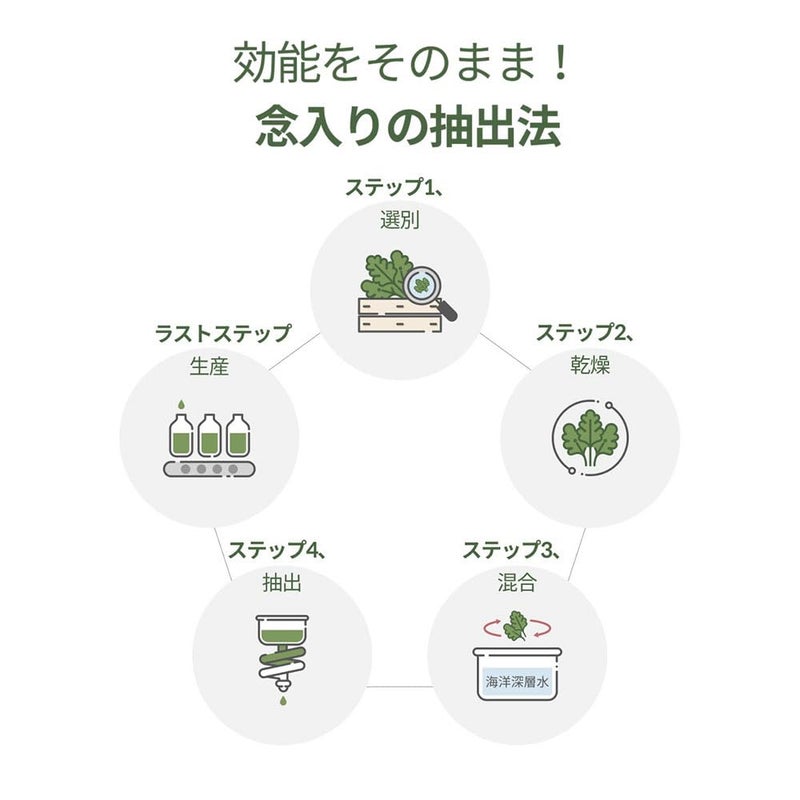 ROUND LAB Mugwort Calming Cleanser | Cleanse and calm simultaneously, Formulated with 4-CICA, Soothing, Low pH, Moisturizing, Cream Type Cleanser (5.07 fl.oz) - Image 2