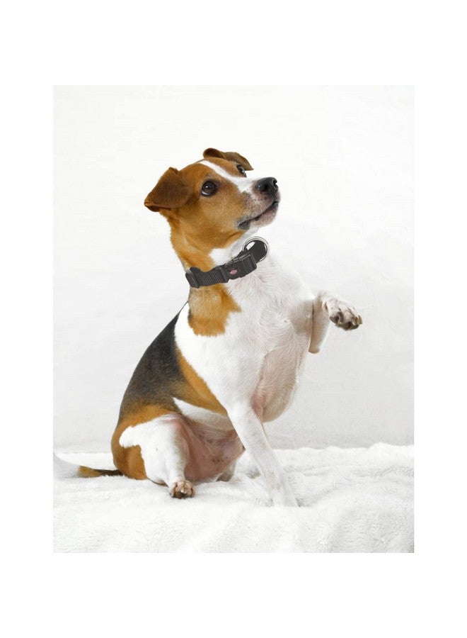 تريكسي طوق كلاب كلاسيكي قابل للتعديل من النايلون مع مشبك بلاستيكي للإغلاق متين ومقاوم للتمزق، مفيد في التدريب الأساسي لكلبك - (35-55 سم/20 مم، مل)، أسود - Image 4