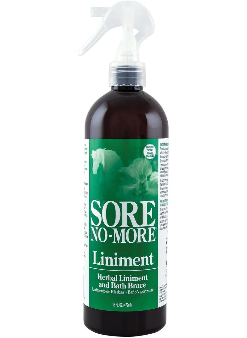 Sore No More Liniment Bottle with Sprayer (16-Ounce)