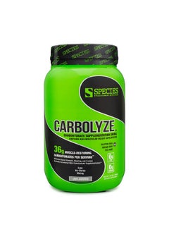 Species Nutrition Carbolyze Carbohydrate Powder Supplement, No Bloating or Cramping, High Molecular Weight Micronized Carb Powder Intra & Post Workout. Sugar Free. (Unflavored, 40 Servings) - pzsku/Z8C14A5BF99232A43A674Z/45/_/1739863574/04a5b930-fa5c-4cf6-929a-2c58b3146374