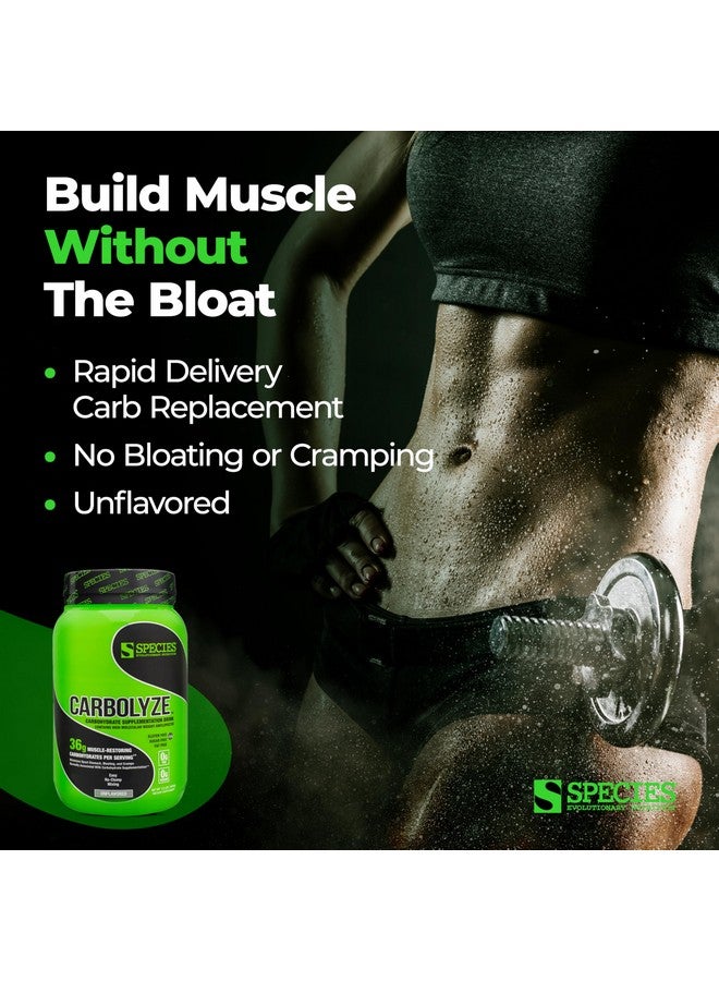 Species Nutrition Carbolyze Carbohydrate Powder Supplement, No Bloating or Cramping, High Molecular Weight Micronized Carb Powder Intra & Post Workout. Sugar Free. (Unflavored, 40 Servings) - Image 2