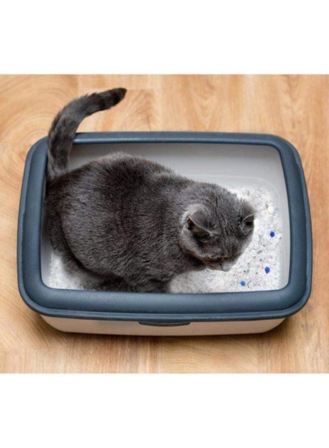 King Star Crystal Silica Gel Cat Litter 10L | Ultra Absorbent Crystal Litter | Superior Odor Control | Low Dust | Long Lasting | Lightweight | Non-Toxic - Image 5