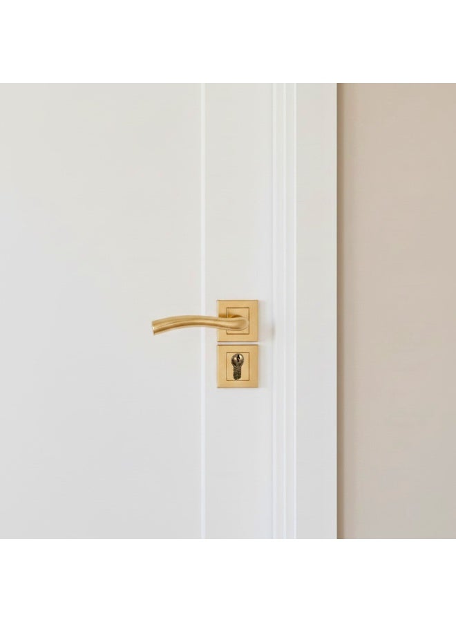 سياج روزتة سلندر  ماكرو - Image 1