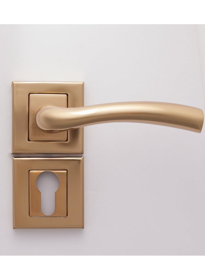 Siag Makro Rosetta Cylinder Door Handle