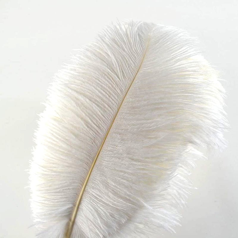 Crenze 10pcs ostrich feathers 1214inch3035cm for Home Wedding Decoration Offers 10 colors White
